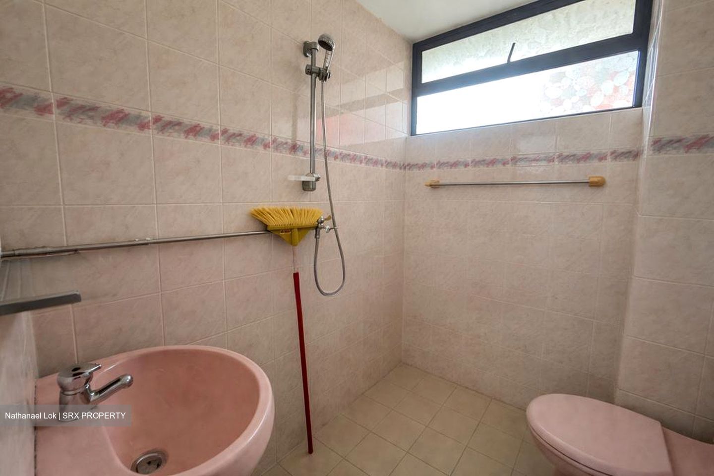 Mimosa Park (D28), Condominium #520863671
